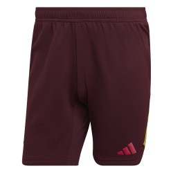 Adidas Tech Garnet shorts