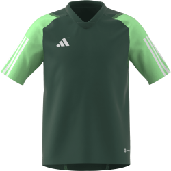 Maglia Adidas Tiro 23 Verde