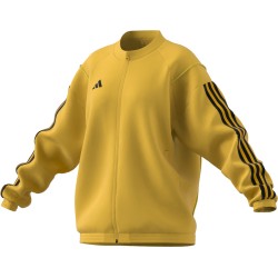 Adidas Tiro 23 Gold Jacket