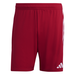 Adidas Tiro 23 shorts