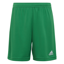 Entrada 22 Shorts Green
