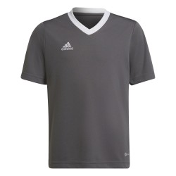 Maglia Adidas Entrada 22