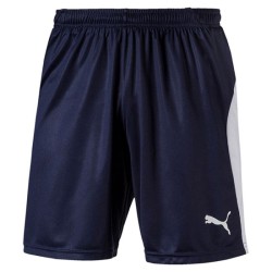 1 - BLUE PUMA SHORTS