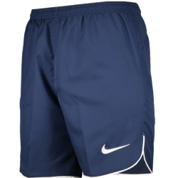 Nike Blue Shorts