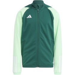 Adidas Tiro 23 Green Jacket