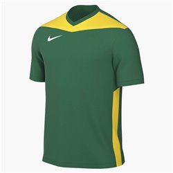 Nike Dri-FIT Park Derby IV Maglia da calcio (Stock) – Uomo Verde