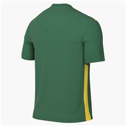 Nike Dri-FIT Park Derby IV Maglia da calcio (Stock) – Uomo Verde