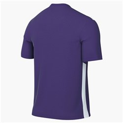 Nike Dri-FIT Park Derby IV Maglia da calcio (Stock) – Uomo Viola