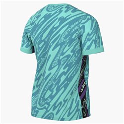 MAGLIA DA PORTIERE NIKE GARDIEN V SS Verde