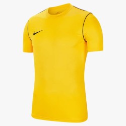 1 - Nike Park 20 Jersey Yellow