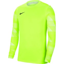 1 - Goalkeeper Jersey Nike Park IV Yellow Fluo