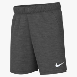1 - Nike Park20 Gray Shorts