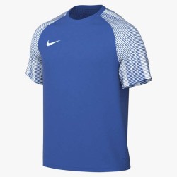 1 - Nike Academy Blue Shirt