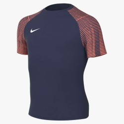 1 - Nike Academy Blue Shirt