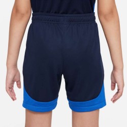 2 - Nike Academy Pro Blue Shorts