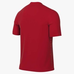 2 - Maglia  Nike Precision Vi Rosso