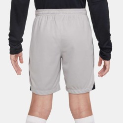 2 - Nike Knit III Gray Shorts