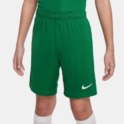 1 - Nike Knit III Green Shorts