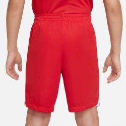 2 - Nike Knit III Shorts Red