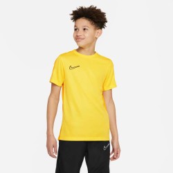 1 - Nike Academy23 Jersey Yellow