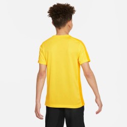 2 - Nike Academy23 Jersey Yellow