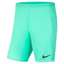 Shorts Nike Park III Turquoise