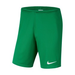 Nike Park III Green Shorts