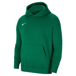 Nike Park 20 Green Hoodie