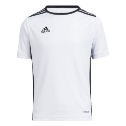 Maglia Adidas Entrada 18...