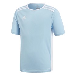 Adidas Entrada 18 Blue Jersey