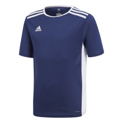 Adidas Entrada 18 Blue Jersey