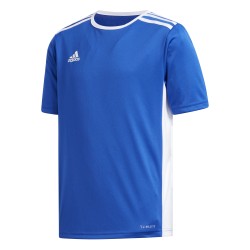 Adidas Entrada 18 Blue Jersey