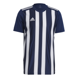 Adidas Striped 21 Blue Jersey