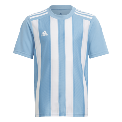 Adidas Striped 21 Blue Jersey