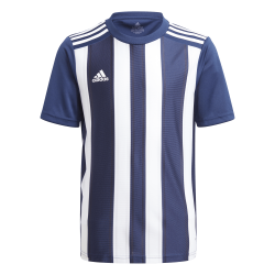 Adidas Striped 21 Blue Jersey