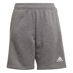 Adidas Tiro 21 Gray Shorts