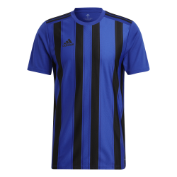 Maglia Adidas Striped 21 Azzurro