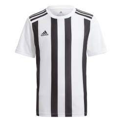 Adidas Striped 21 White Jersey