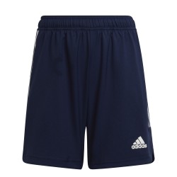 Adidas Condivo 22 shorts