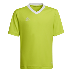 Maglia Adidas Entrada 22...