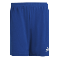 Shorts Entrada 22 Light blue
