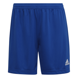 Shorts Entrada 22 Light blue