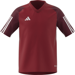 Maglia Adidas Tiro 23 