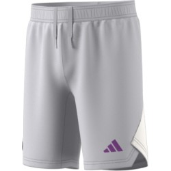 Adidas Tech Gray shorts