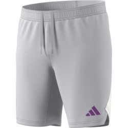 Adidas Tech Gray shorts