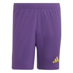 Adidas Tech Purple Shorts