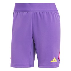 Adidas Tech Purple Shorts