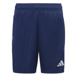 Adidas Tiro 23 shorts